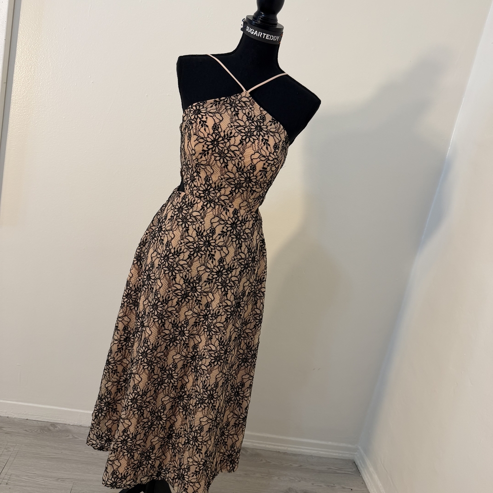 Elegant Lace Overlay Dress